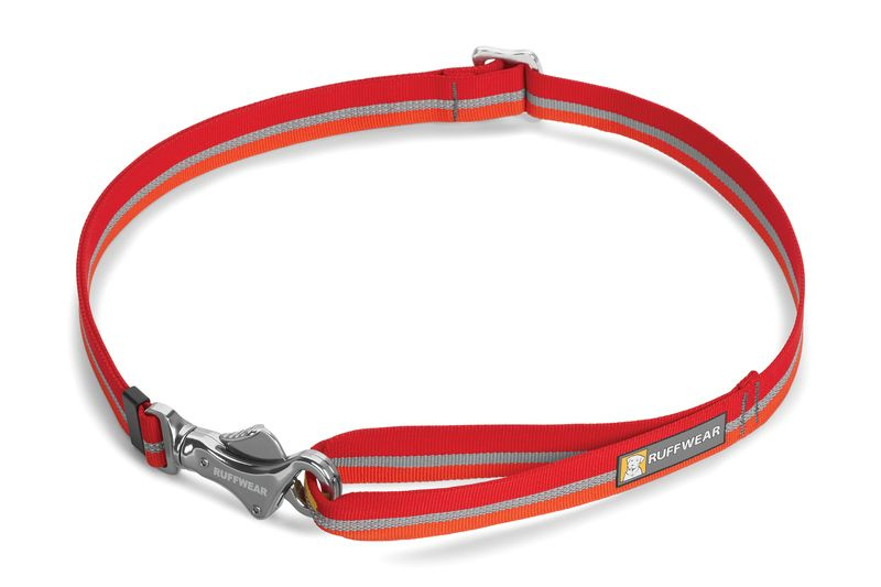 PATROLLER LEASH